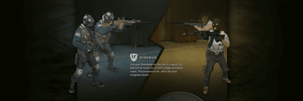 Что такое режим Wingman в CS2