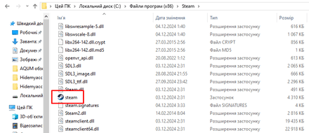 Перейти по шляху C:\Program Files(x86)\Steam