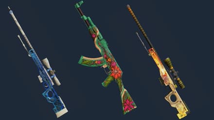 Covert rarity skins
