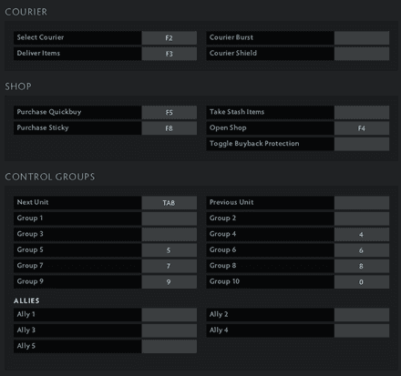 Additional Controls Dota 2
