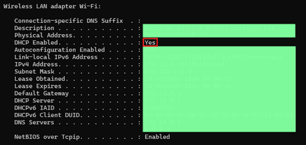 Section with an active internet connection