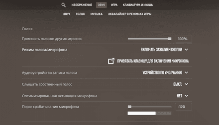 Пошаговая инструкция как включить голосовой чат в CS2
