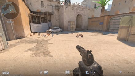 Spawn Chickens command in CS2