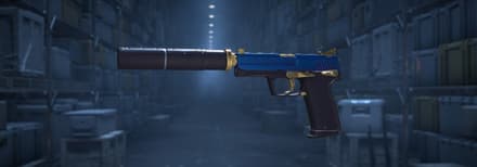 USP-S | Royal Guard