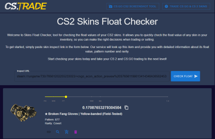 FLOAT CHECKER