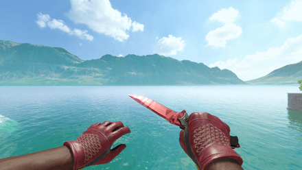 Driver Gloves | Rezan the Red + Nomad Knife | Slaughter