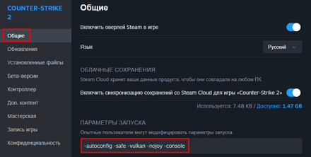 В поле «Параметры запуска» вставьте -autoconfig -safe -vulkan -nojoy -console
