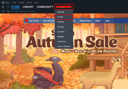 Navigate to your Steam profile