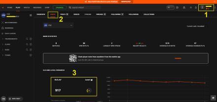 Where Can You Find Your FACEIT Level?