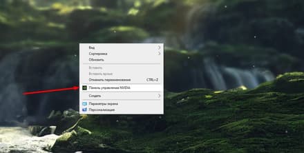 Откройте «Панель управления NVIDIA»