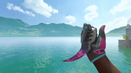 Sport Gloves | Vice + Talon Knife | Doppler (Phase 2) CS2