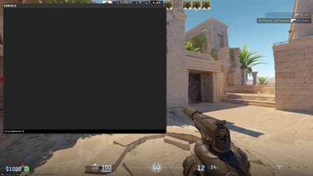 Once enabled, you can open the Developer Console from the Main Menu or during a match by pressing the tilde (~) key