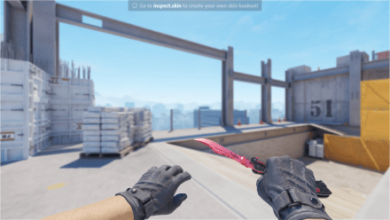 BUTTERFLY KNIFE | SLAUGHTER IN GAME