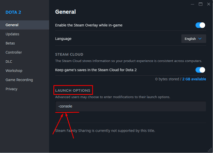 Enter the command -console into the field under the Launch Options