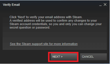 Verify email for Steam account