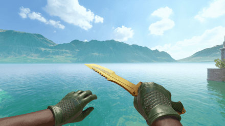 Driver Gloves | Racing Green + Huntsman Knife | Lore