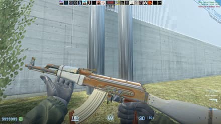 AK-47 | Aphrodite (FN), Bronze Gem, Pattern #357 (Tier 3) CS2