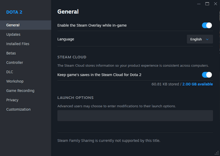 Launch Options Dota 2