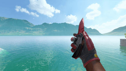 Driver Gloves | Rezan the Red + Nomad Knife | Slaughter CS2
