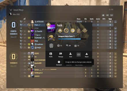 Мут отдельных игроков в CS2