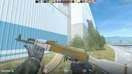 AK-47 | Aphrodite (FN), Golden Gem, Pattern #60 (Tier 1) CS2