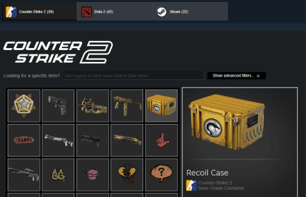 Open the game and go to your inventory there to see all CS2 items