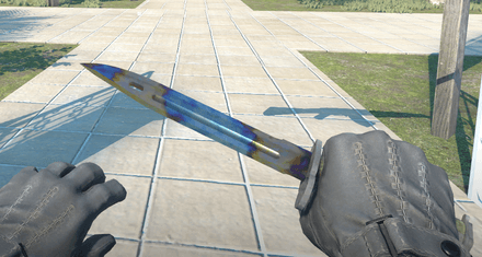 Bayonet Case Hardened Blue Gem Pattern #169, Field Tested