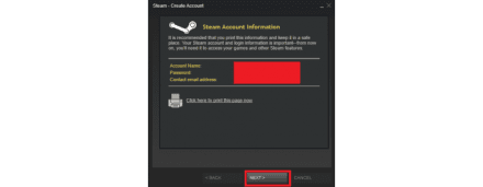 Check the correctness of the info in Steam account