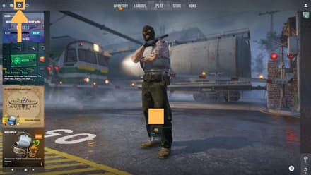Open the game and go to Settings (gear icon)