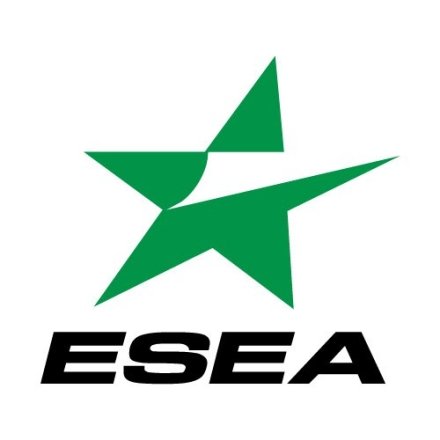 What is ESEA?