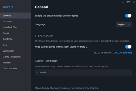 In the General tab, find Launch Options, type or paste -console
