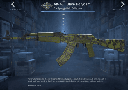 AK-47 | Olive Polycam