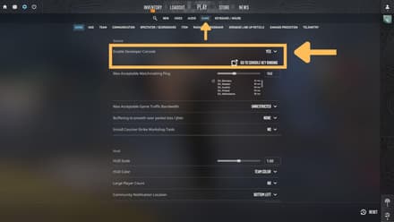 Navigate to the “Game” tab and look for the “Enable Developer Console” option