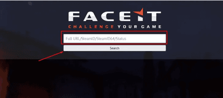 Форма для пошуку на FACEIT Finder