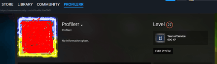 Steam and Dota 2 nickname are now updated