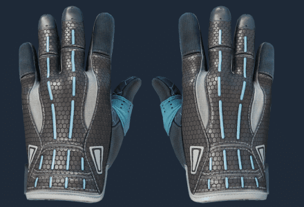 Sport Gloves | Superconductor FN