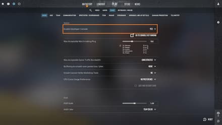 Find "Enable Developer Console" and switch it to YES