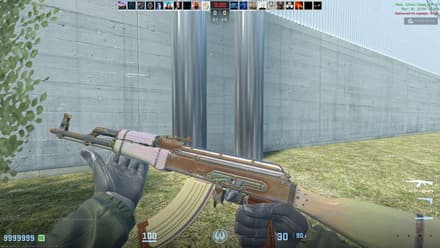 AK-47 | Aphrodite (FN), Bronze Gem, Pattern #8 (Tier 1) CS2