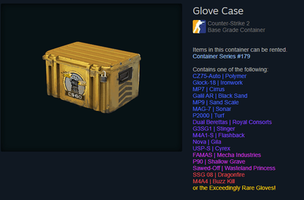 Glove Case