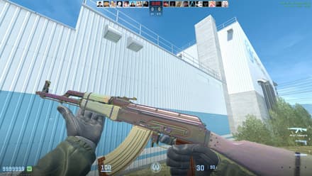 AK-47 | Aphrodite (FN), Purple Gem, Pattern #117 (Tier 3) CS2