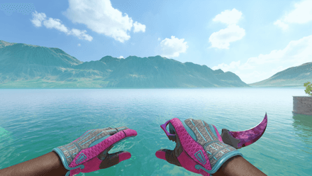 Sport Gloves | Vice + Talon Knife | Doppler (Phase 2)