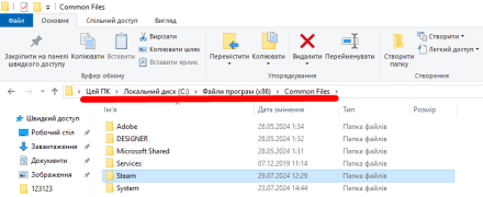 Перейдіть у папку, куди встановлений Steam
