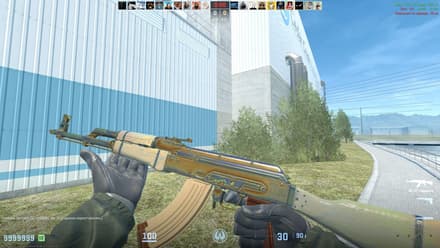 AK-47 | Aphrodite (FN), Golden Gem, Pattern #444 (Tier 3) CS2