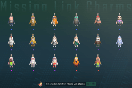 Missing Links Charms