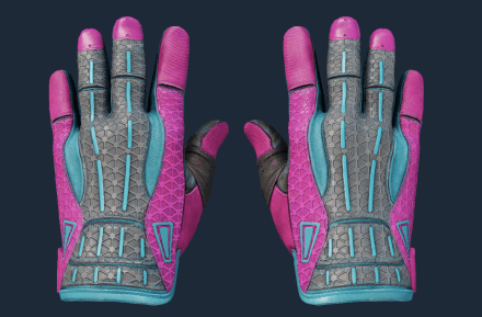 Sport Gloves | Vice FN