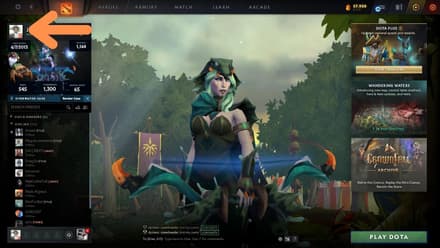 Enter the game and open your profile