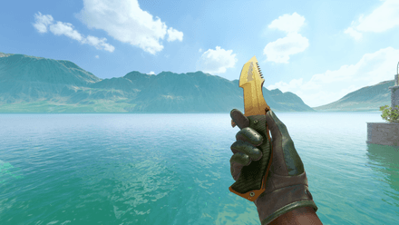 Driver Gloves | Racing Green + Huntsman Knife | Lore CS2