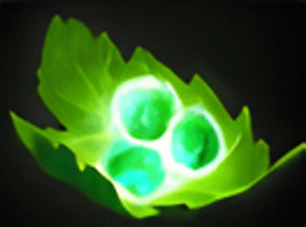 Закупка артефактов на Шейкера в Дота 2 - Tango, Salve