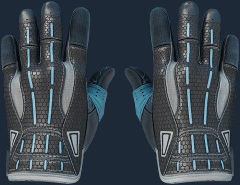 Sport Gloves | Superconductor FN