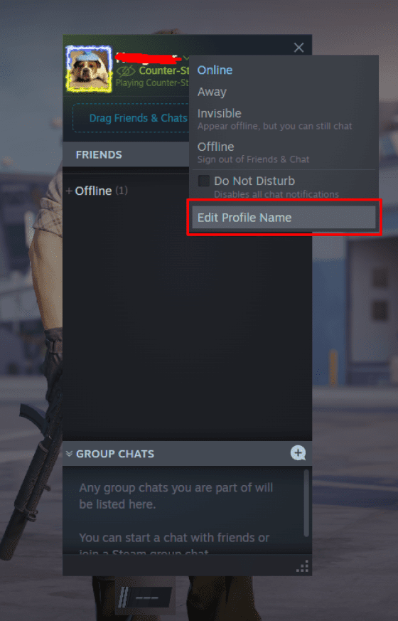 Select Edit Profile Name